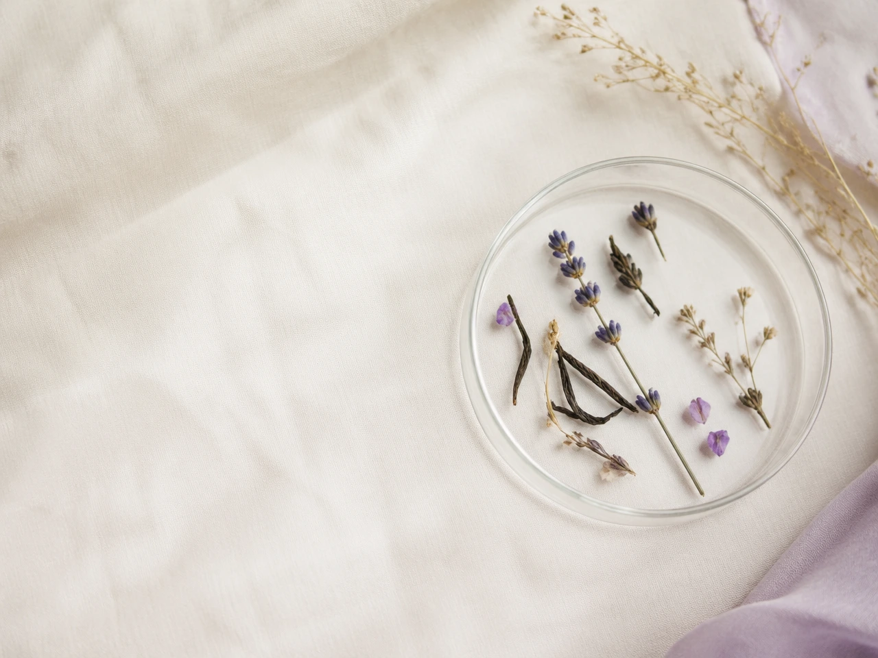 A petri dish of careful study — the smallest details decide the result.